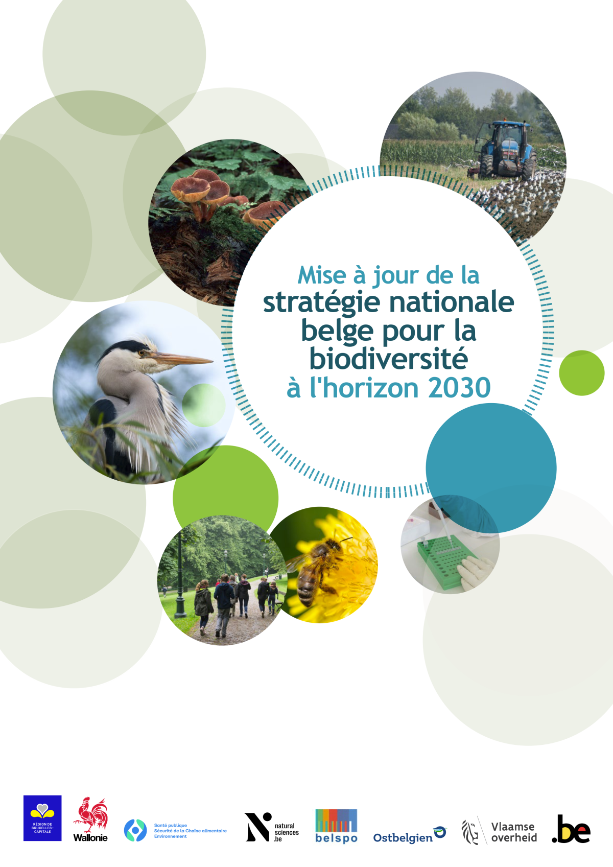 可持续金融与生物多样性：比利时2030战略确认了建立证据框架的必要性 