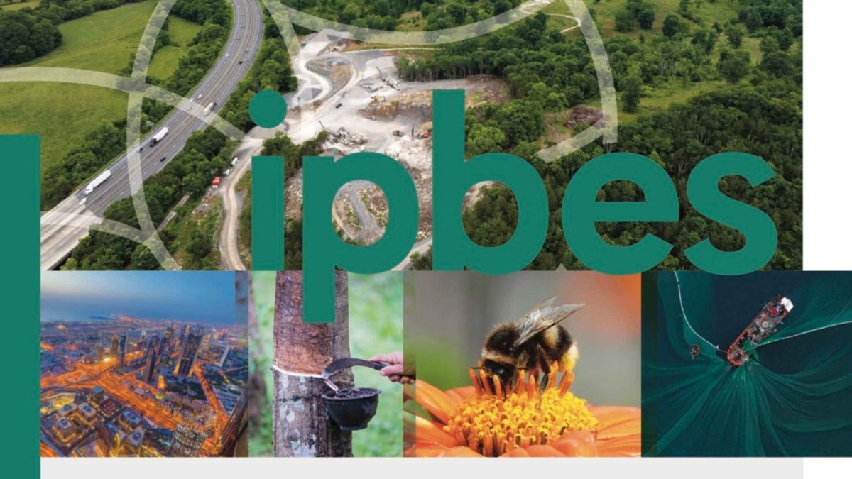 IPBES 2026——生物多样性、生态核算与企业绩效 