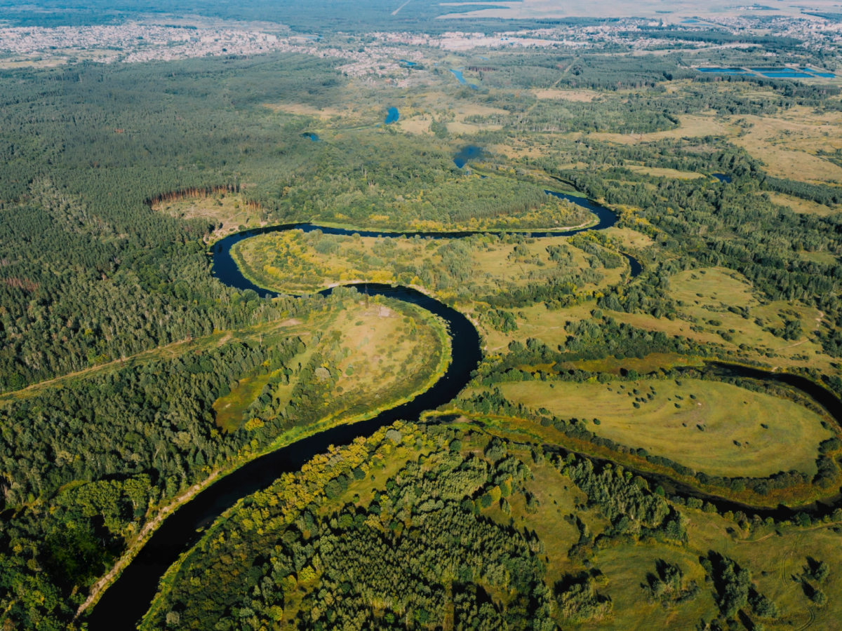 为什么生物多样性指标不能作为环境证据？ 