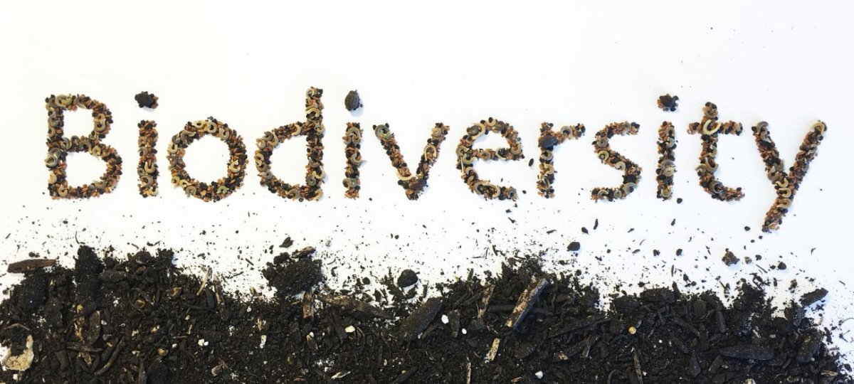 迈向综合生态核算：衡量生物体的真实表现 