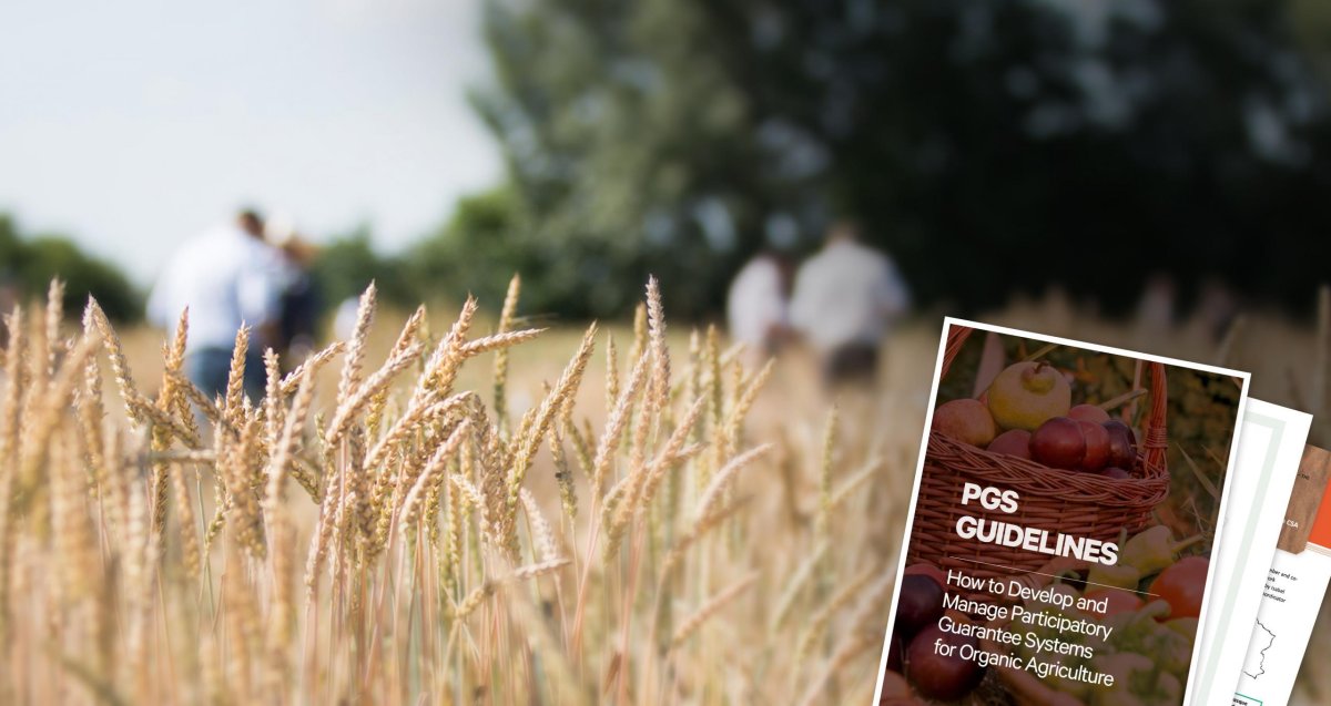  为什么参与式保障机制不能作为独立评估的基础？