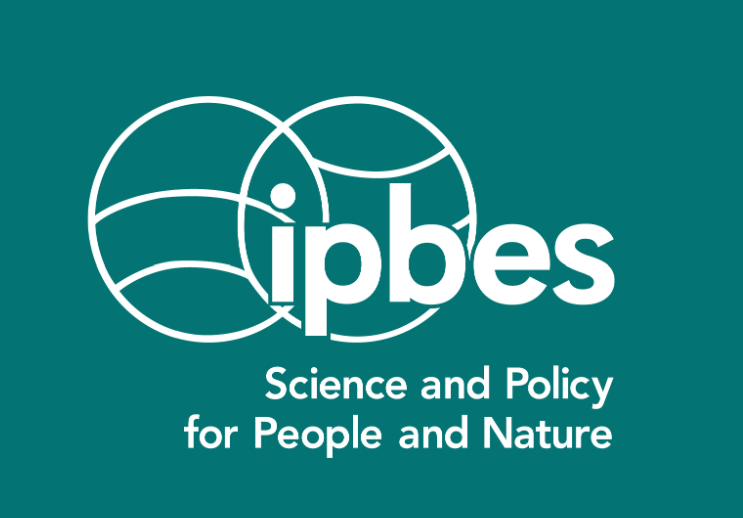 IPBES 2026：迈向全球自然核算，IRICE 和 Effinature 已领先一步 