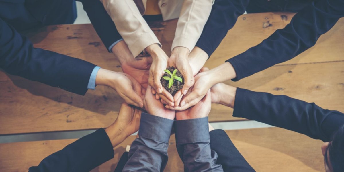 生态集体和认证：转型过程中的两个互补杠杆